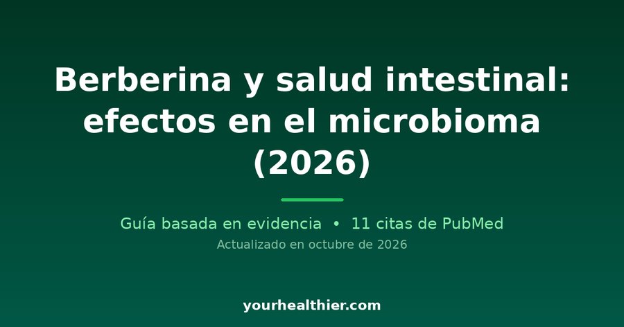 Berberina y salud intestinal: efectos en el microbioma (2026)