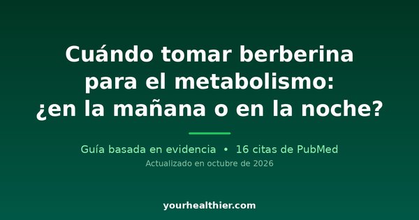 Cuándo tomar berberina para el metabolismo: ¿en la mañana o en la noche?
