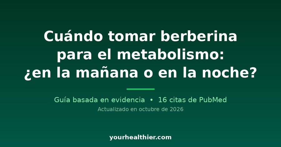 Cuándo tomar berberina para el metabolismo: ¿en la mañana o en la noche?
