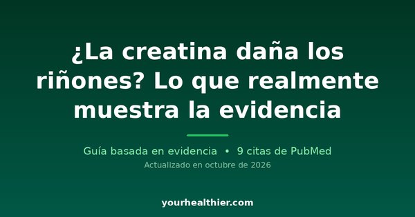 ¿La creatina daña los riñones? Lo que realmente muestra la evidencia