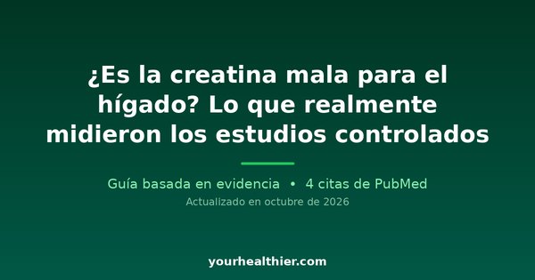 ¿Es la creatina mala para el hígado? Lo que realmente midieron los estudios controlados