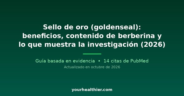 Sello de oro (goldenseal): beneficios, contenido de berberina y lo que muestra la investigación (2026)