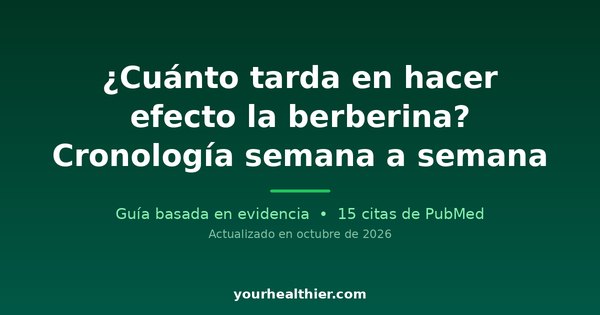¿Cuánto tarda en hacer efecto la berberina? Cronología semana a semana