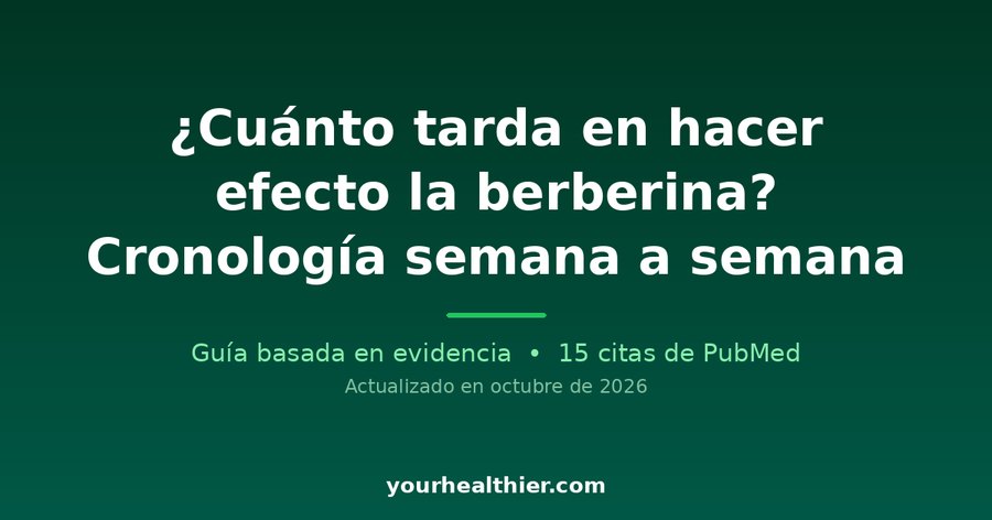 ¿Cuánto tarda en hacer efecto la berberina? Cronología semana a semana