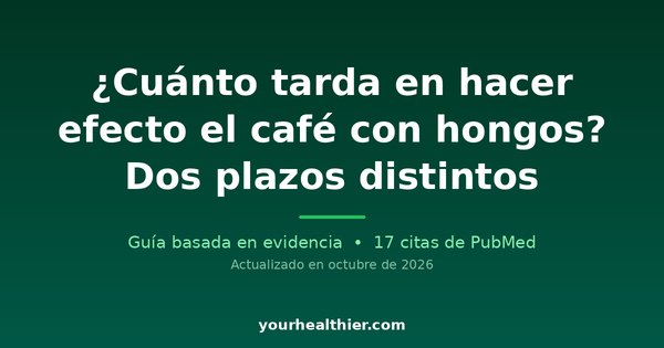 ¿Cuánto tarda en hacer efecto el café con hongos? Dos plazos distintos