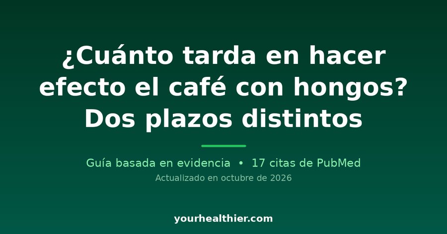 ¿Cuánto tarda en hacer efecto el café con hongos? Dos plazos distintos
