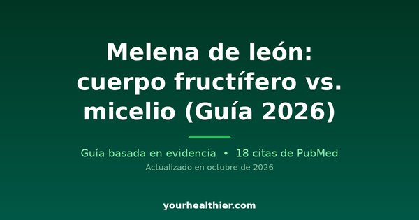 Melena de león: cuerpo fructífero vs. micelio (Guía 2026)