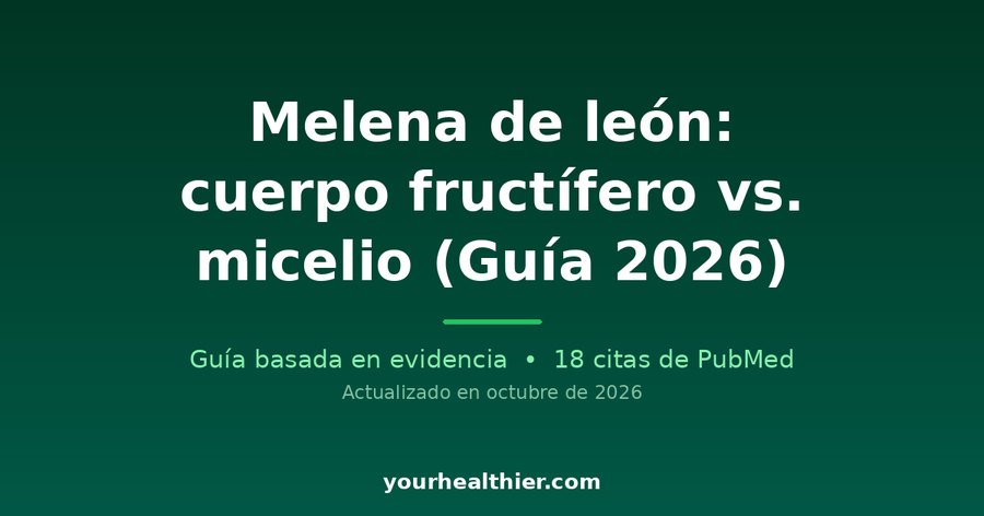 Melena de león: cuerpo fructífero vs. micelio (Guía 2026)