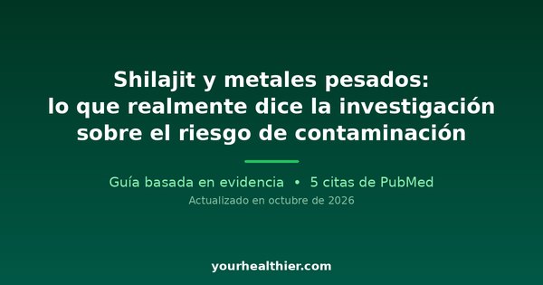 Shilajit y metales pesados: lo que realmente dice la investigación sobre el riesgo de contaminación