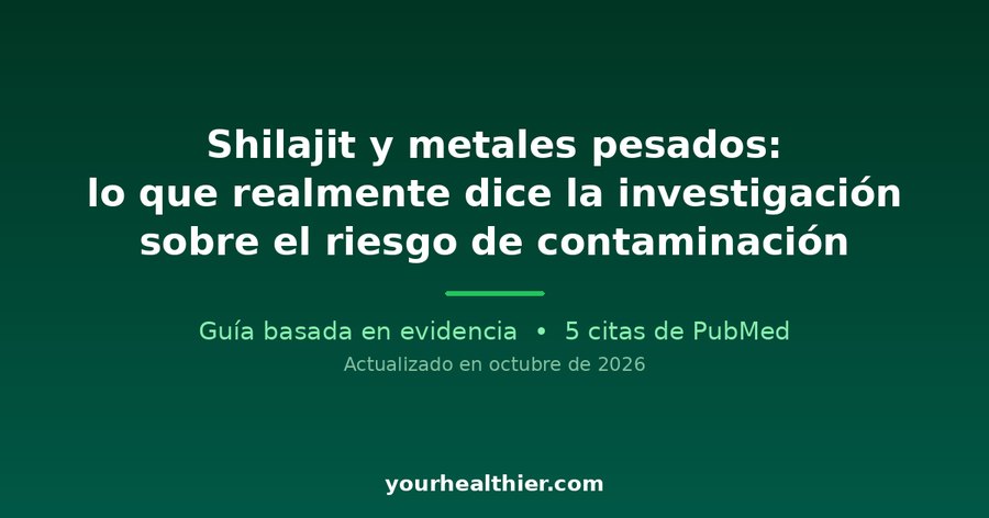 Shilajit y metales pesados: lo que realmente dice la investigación sobre el riesgo de contaminación
