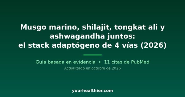 Musgo marino, shilajit, tongkat ali y ashwagandha juntos: el stack adaptógeno de 4 vías (2026)