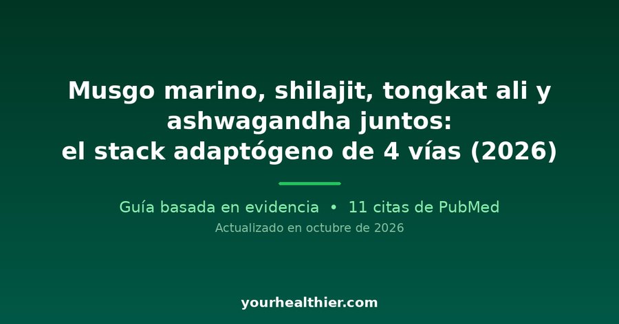 Musgo marino, shilajit, tongkat ali y ashwagandha juntos: el stack adaptógeno de 4 vías (2026)