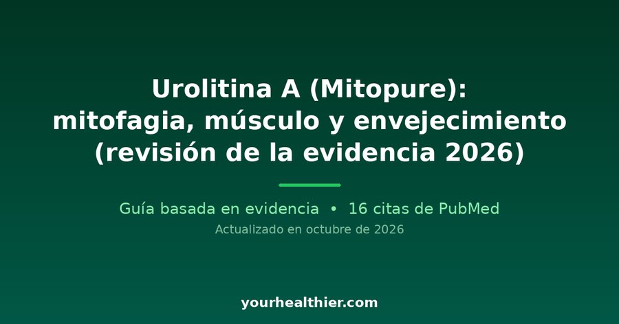 Urolitina A (Mitopure): mitofagia, músculo y envejecimiento (revisión de la evidencia 2026)