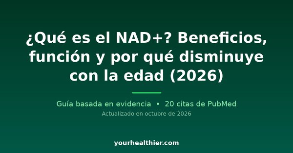 ¿Qué es el NAD+? Beneficios, función y por qué disminuye con la edad (2026)
